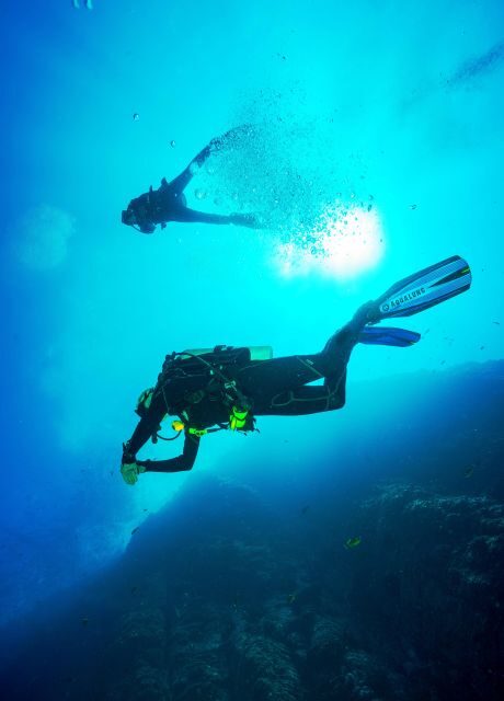 Beginner Scuba Dive with Scubapoint Tenerife in Turtle Area - The on-land training: basics, safety, and gear handling