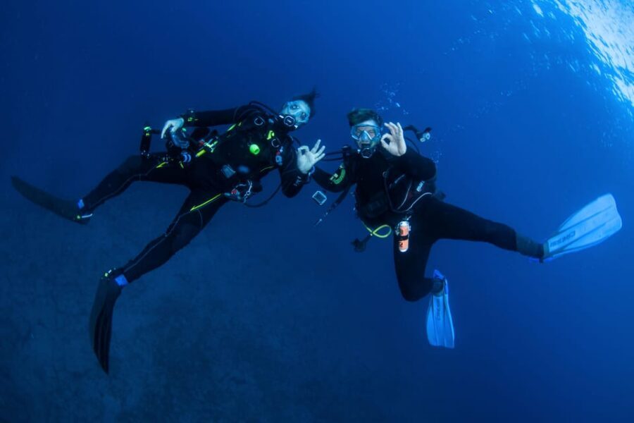 Beginner Scuba Dive with Scubapoint Tenerife in Turtle Area - Price and value: is $88 fair for what you get?