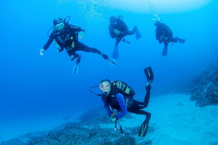 Beginner Scuba Dive with Scubapoint Tenerife in Turtle Area - Meeting at Puerto Colón and the small-group flow