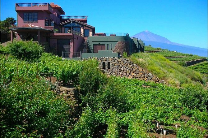 Bodegas Monje Winery Ticket w/Wine Tasting & Mojo Sauce Workshop - Your Winery Wine Tasting: Three Bottles, Three Styles
