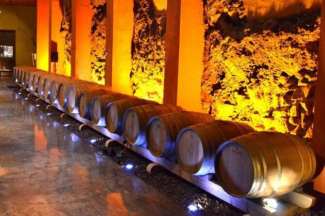Bodegas Monje Winery Ticket w/Wine Tasting & Mojo Sauce Workshop - Step-by-Step Flow of the Day (What Happens When)
