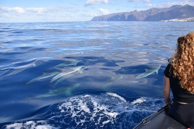 Bonadea II Ecological Whale Watching, 2 hours - Who should book this whale watching trip
