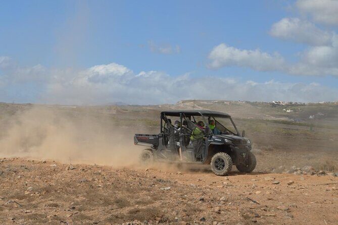 Buggy or Quad Tour Volcano Teide in Teide National Park - Ascending Toward Teide: What You’ll See Along the Way