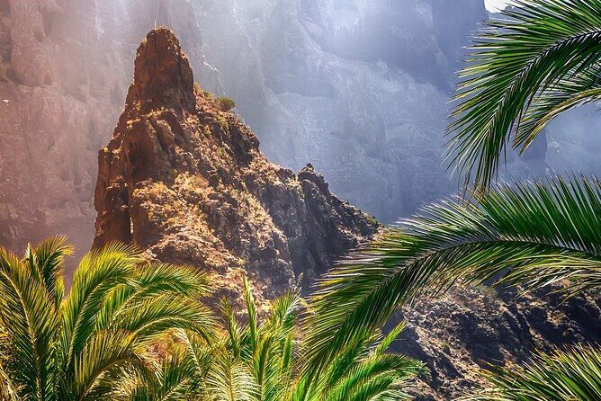 Cabrio Bus Full Day Guided Tour of Teide (SOUTH ONLY) - Vilaflor (38613) on the return: a quieter Canarian pause