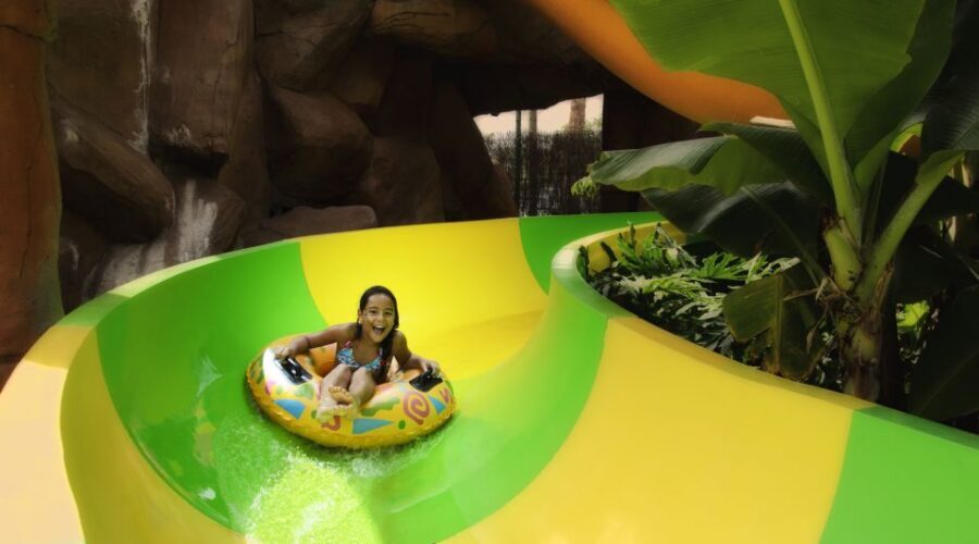 Costa Adeje: Aqualand Water Park Ticket with Dolphin Show - The main ride loop: Tsunami, Cyclones, and the big-slide lineup