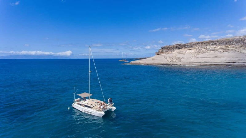 Costa Adeje: Catamaran Tour, Snorkelling, Snacks & Drinks - Who this tour is best for (and who should rethink it)