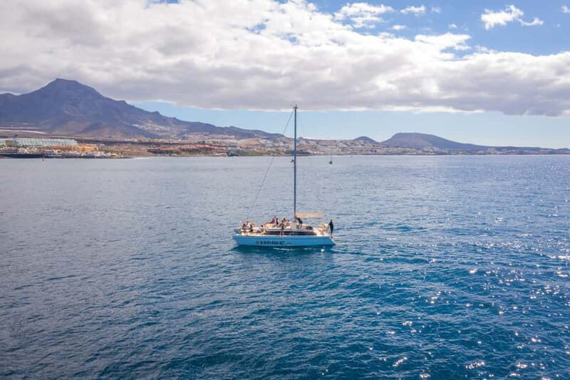 Costa Adeje: Private Catamaran Tour 22 Persons Max - Key points to know before you book