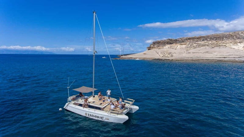 Costa Adeje: Private Catamaran Tour 22 Persons Max - Who this private catamaran trip is best for