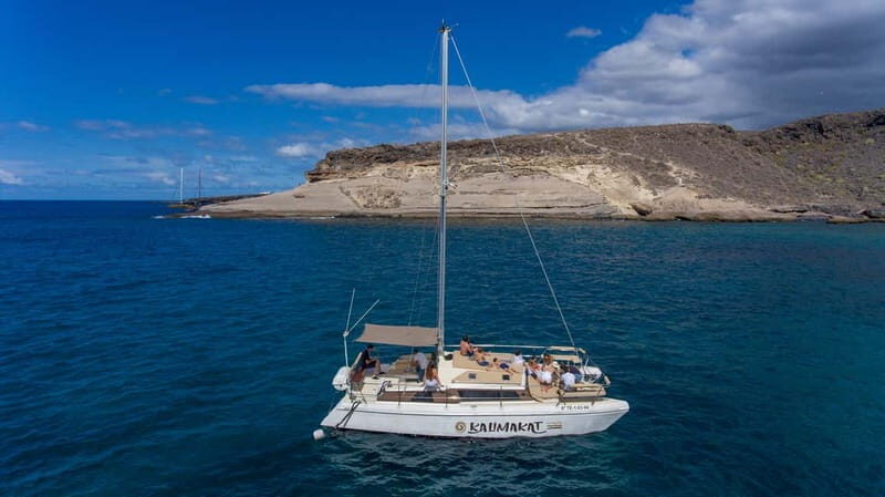 Costa Adeje: Private Catamaran Tour 22 Persons Max - The wildlife search: dolphins and whales, plus a bonus if you’re lucky
