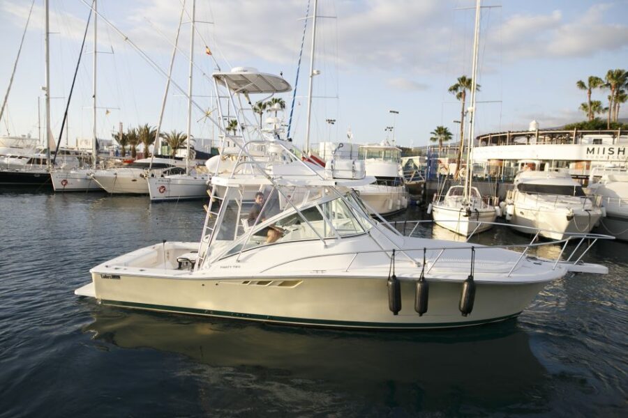 Costa Adeje: Private Yacht Sailing Tour from Puerto Colón - Wildlife at Sea: Marine Animals Without the Stress
