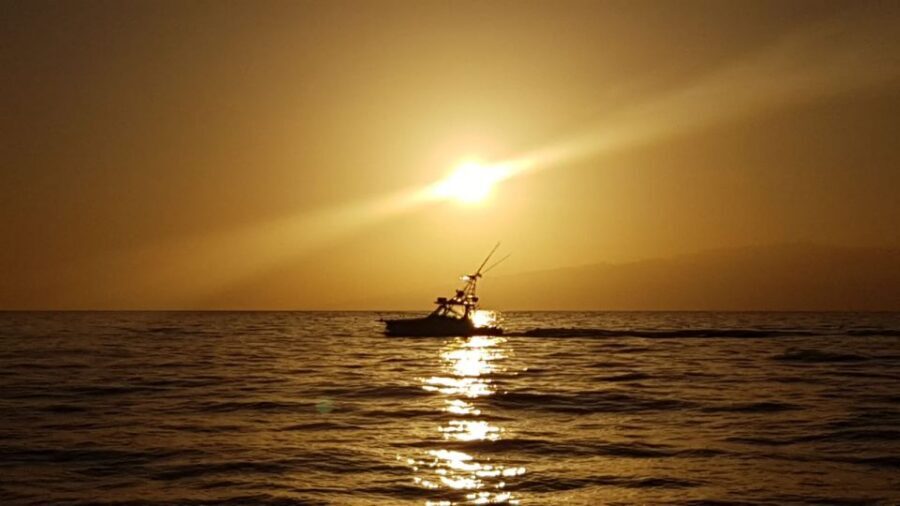 Costa Adeje: Private Yacht Sailing Tour from Puerto Colón - What’s Included on Board (and What That Changes for Your Day)