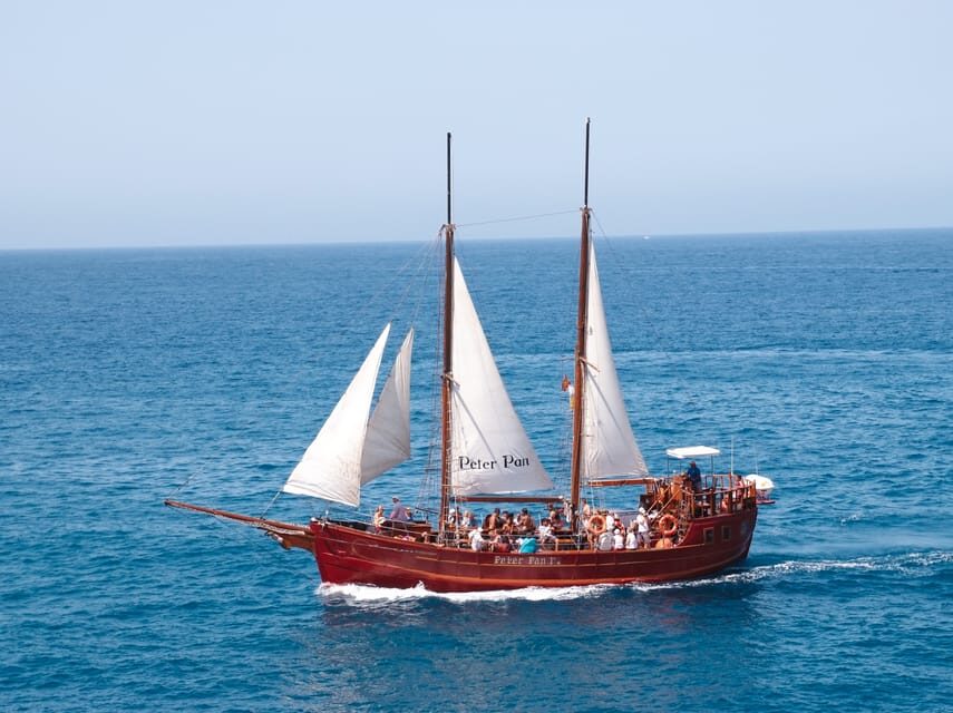 Costa Adeje: Respectful Whale-Watching Sailboat Tour & swim - Deck Time, Bathrooms, and a Bar: How the On-Water Layout Works