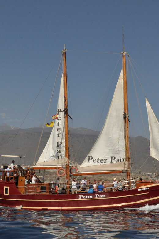 Costa Adeje: Respectful Whale-Watching Sailboat Tour & swim - Who Should Book This (and Who Should Think Twice)