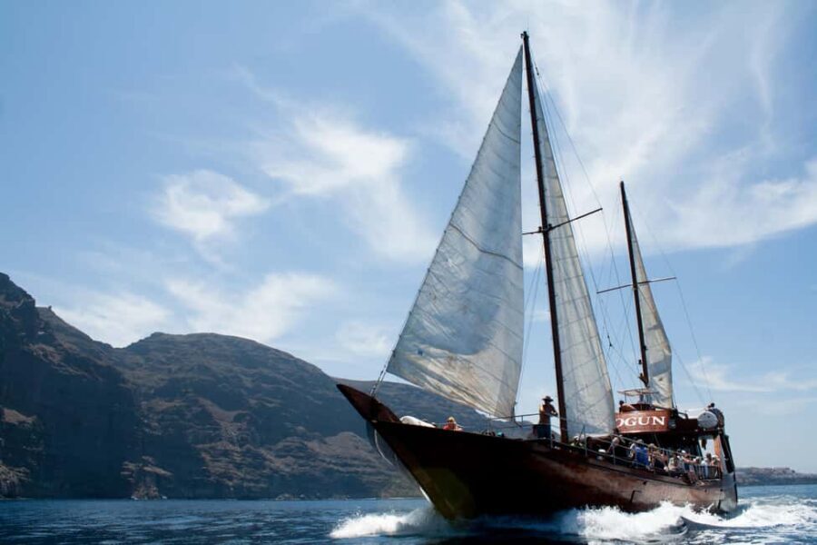 Costa Adeje: Respectful Whale-Watching Sailboat Tour & swim - Getting on Board at Colon Harbours Pier 14 (and Why Timing Matters)