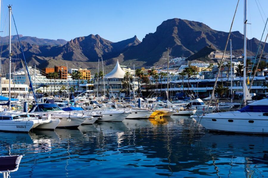Costa Adeje: Tuk Tuk Tour - Playa de la Enramada: Black Sand Views and What to Look For