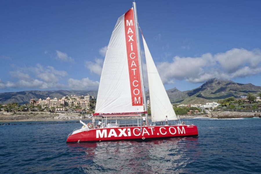 Costa Adeje: Whale and Dolphin Cruise with Food and Pickup - Key Things I’d Highlight Before You Book