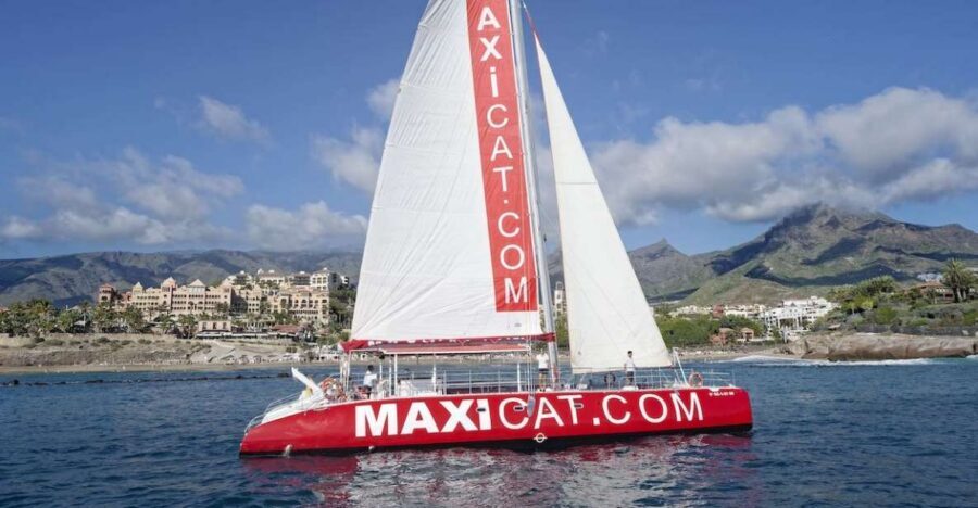 Costa Adeje: Whale and Dolphin Cruise with Food and Pickup - Why Costa Adeje’s Catamaran Format Makes Sense for Whale Watching