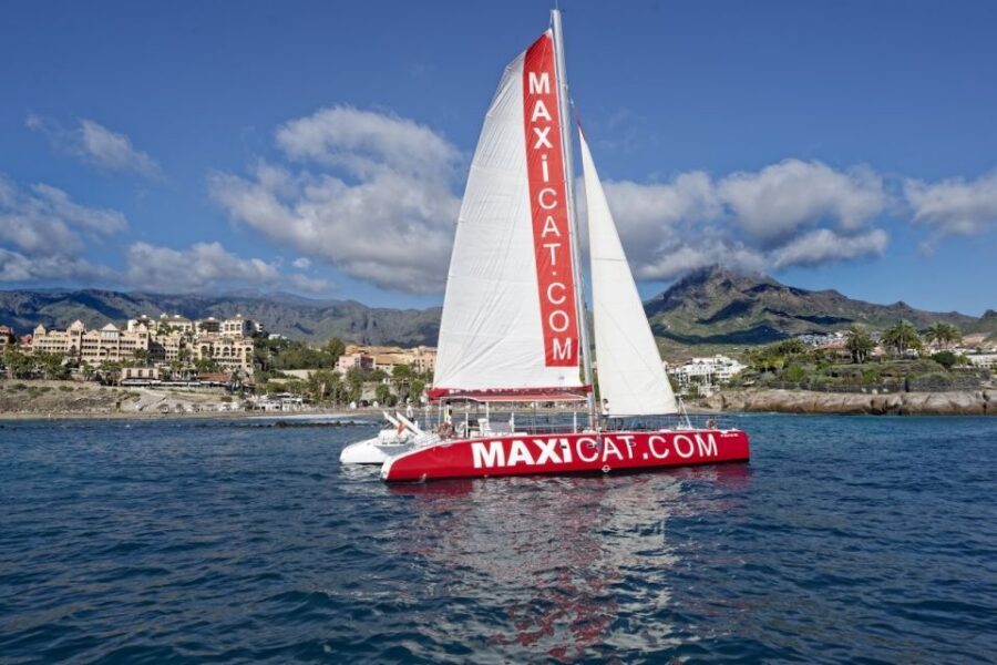 Costa Adeje: Whale and Dolphin Cruise with Food and Pickup - Who This Cruise Fits Best (and Who Should Think Twice)