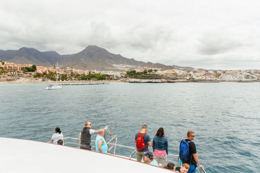 Costa Adeje: Whale & Dolphin Submarine Vision Mini Cruise - Costa Adeje Whale Watching: What You’re Paying For at Puerto Colón