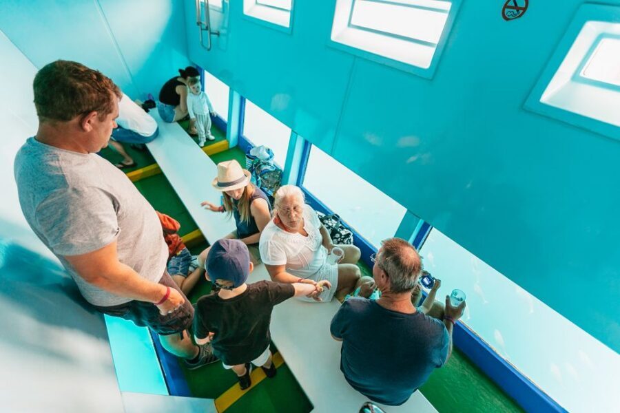 Costa Adeje: Whale & Dolphin Submarine Vision Mini Cruise - Underwater Viewing Reality Check: What to Expect From the Submarine Vision Style