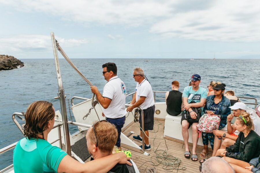 Costa Adeje: Whale & Dolphin Submarine Vision Mini Cruise - Money Details: Drinks and Photos Are Extra, but Easy to Add
