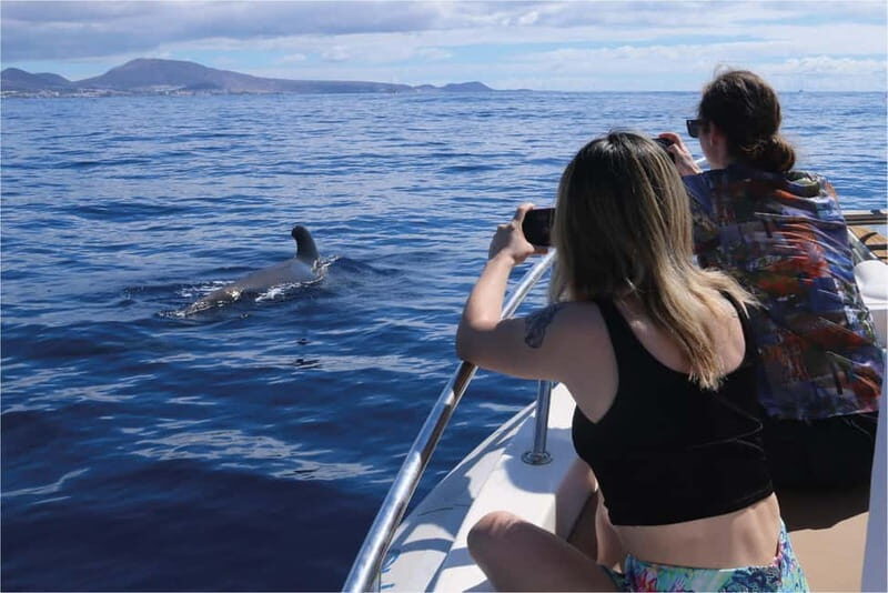 Costa Adeje: Whale Watching Eco Experience with Hydrophone. - Why Costa Adeje is the right place for whale watching