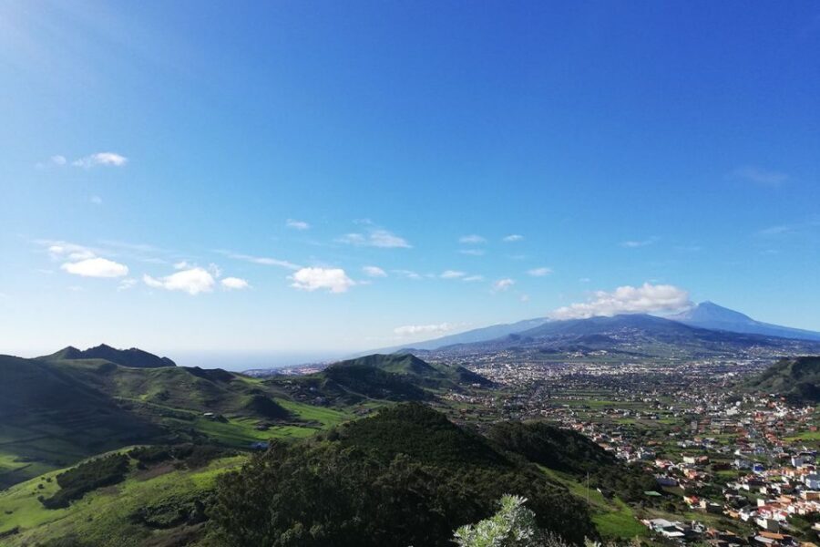 Cruz del Carmen: Hiking in Anaga with Local Food Products - The 3.5-Hour Route to Taborno’s Volcanic Dome (What You’ll Actually Do)