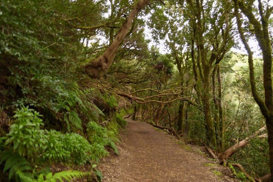 Cruz del Carmen: Hiking in Anaga with Local Food Products - Why the UNESCO Biosphere Reserve Feel Is Real Here