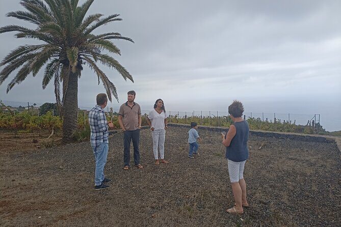 Custom Private Tenerife Full Island VIP Tour - photos included - Anaga Rural Park: laurel-forest quiet when you want nature over crowds