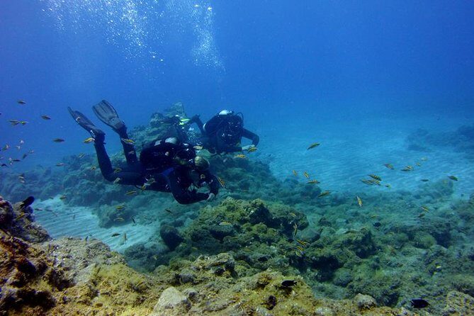 Discover Scuba Diving Adventure in Tenerife - Key highlights to look for