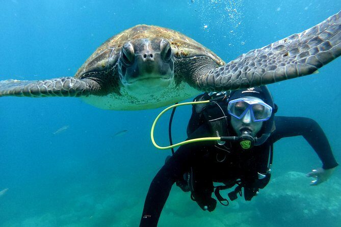 Discover Scuba Diving Experience in Turtle Habitat - Speed Boat to Puerto Colón: Easy Transfer, Real Time at Sea