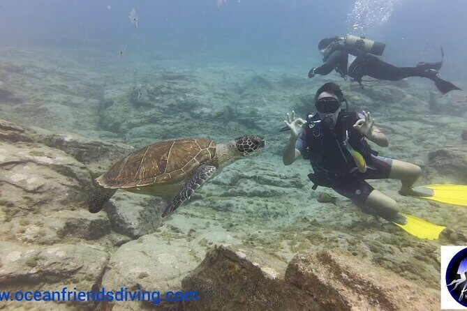Discover Scuba Diving, free pictures included - Photos included: why they’re a real part of the value
