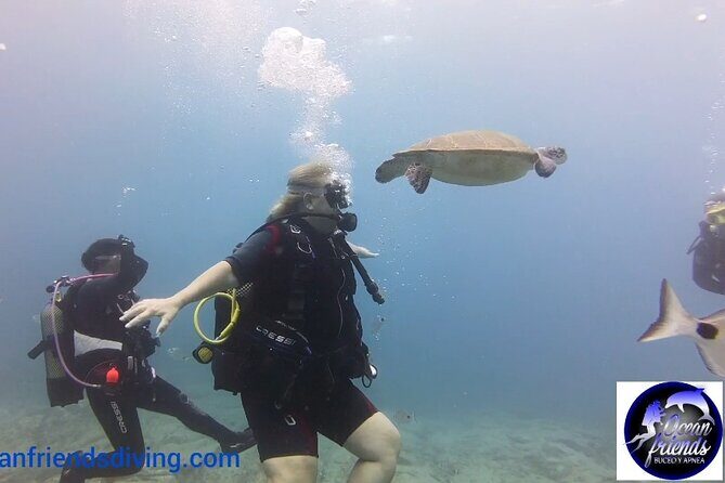 Discover Scuba Diving, free pictures included - Who this experience suits best (and who should double-check)