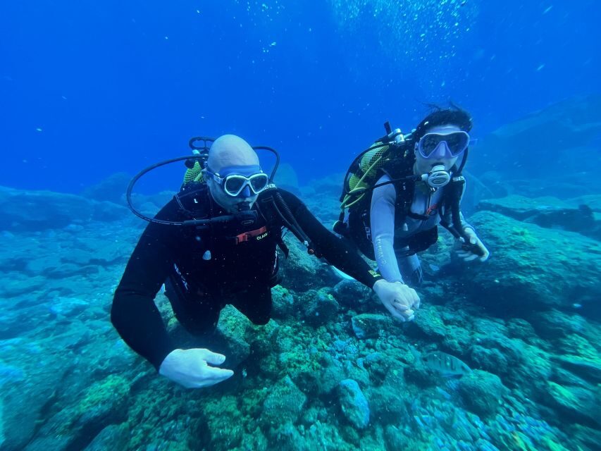 Diving course for beginners in turtle area Tenerife - Key things to know before you go