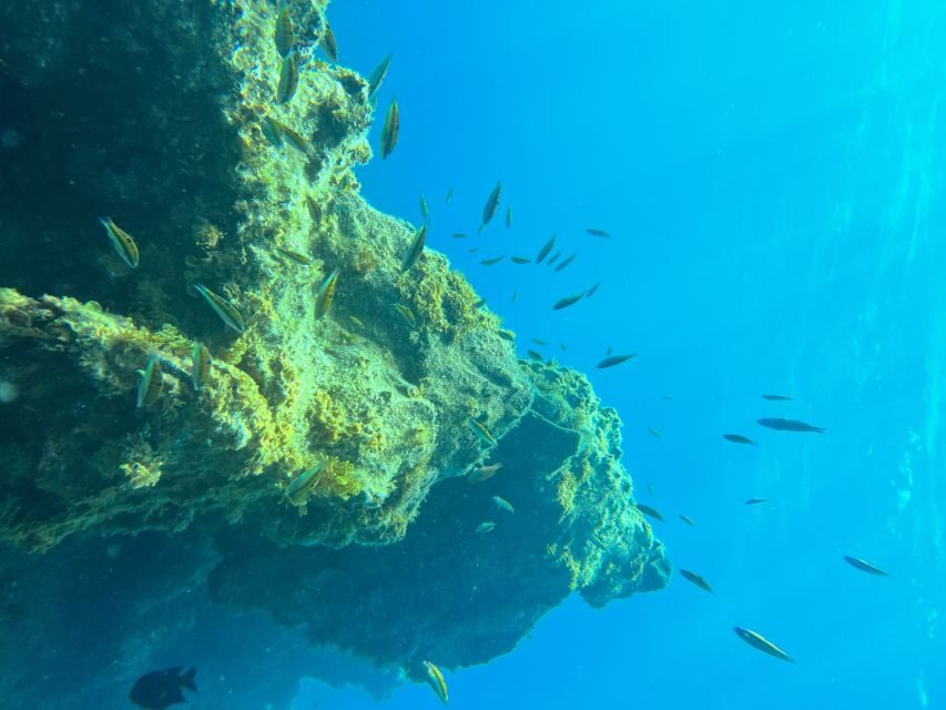 Diving course for beginners in turtle area Tenerife - Practical rules and what to pack so the day stays easy