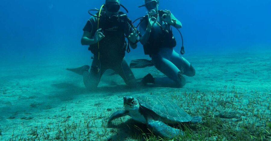 Diving course for beginners in turtle area Tenerife - Abades meeting point at the beach: where the whole day starts