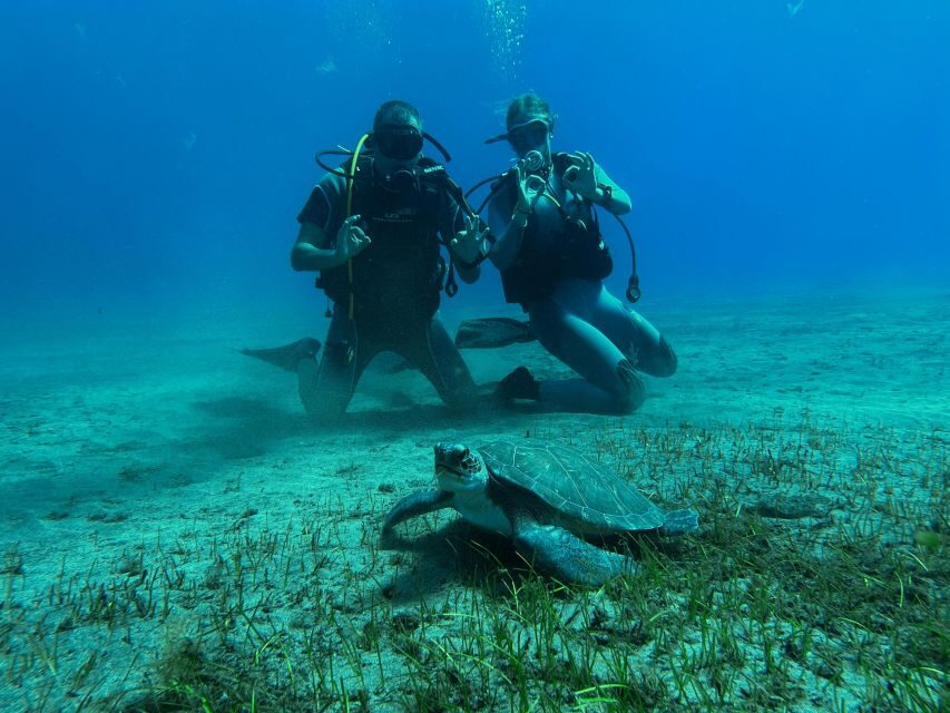 Diving course for beginners in turtle area Tenerife - Gear setup: neoprene suit, mask, fins, and the float-jacket feeling