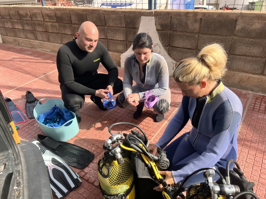 Diving course for beginners in turtle area Tenerife - The turtle area in Tenerife: colorful fish, wild turtles, and sting rays
