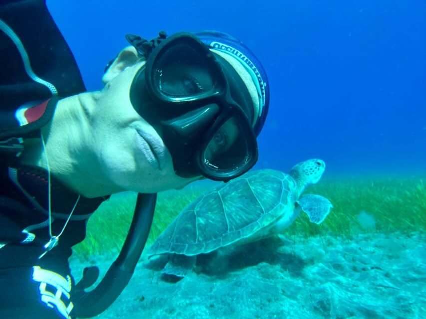 Diving course for beginners in turtle area Tenerife - Price and value: what $100 buys you in Tenerife