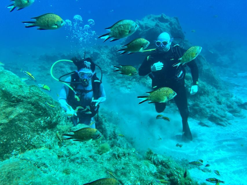 Diving course for beginners in turtle area Tenerife - Your instructor and the beginner briefing: what you learn before water