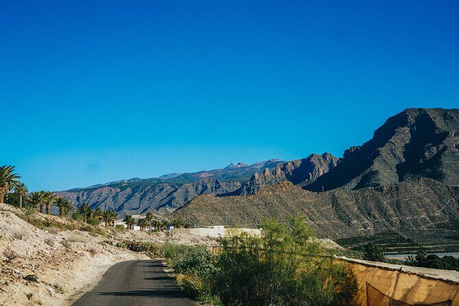 Double Tuk Tuk Tour in Costa Adeje - The Duke Area: Luxury History Without the Museum Feel