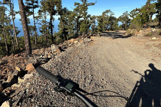 E-bike Ride at Chinyero Natural Reserve - on premium bikes - Gravel, Rocks, and Rugged Soil: Where the Trail Starts to Feel Serious