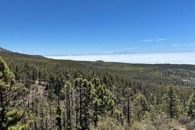 E-bike Ride at Chinyero Natural Reserve - on premium bikes - What’s Included (and How the Value Adds Up)