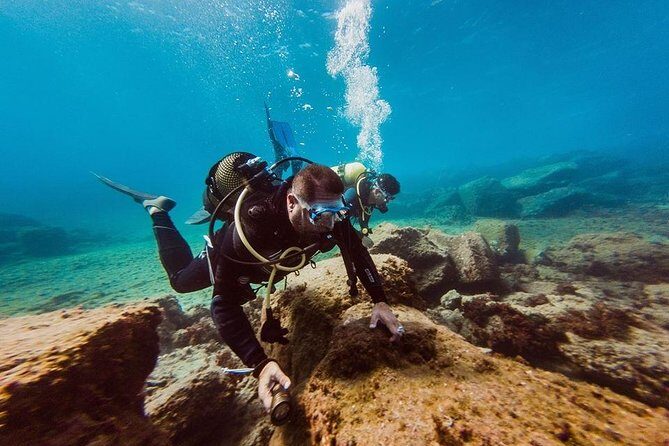 Eco Adapted Diving in Tenerife - Key things to know before you go