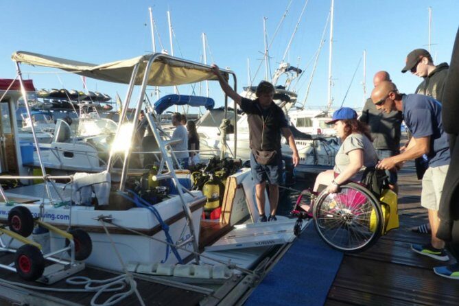 Eco Adapted Diving in Tenerife - Why Tenerife’s Southwest Waters Make This First Time Feel Manageable