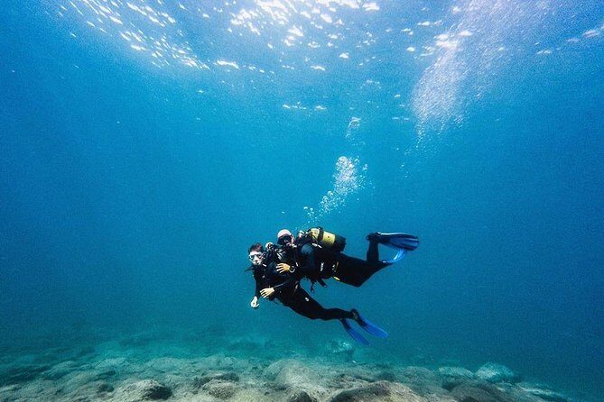 Eco Adapted Diving in Tenerife - Getting Started at Av. de Colón and Boarding the Jacaré