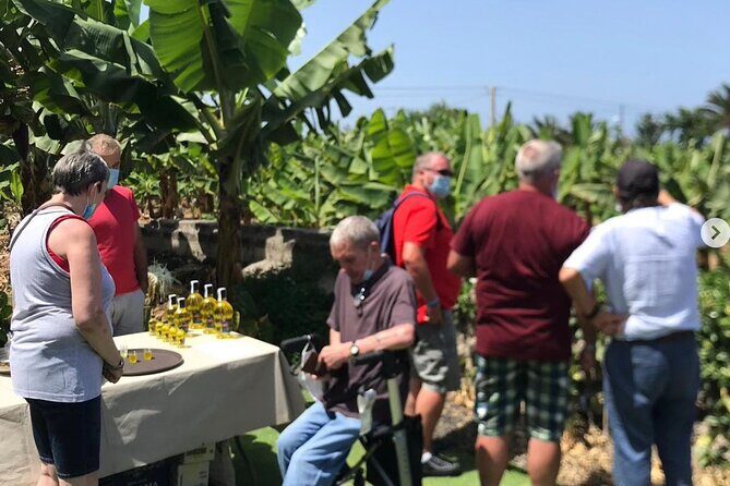 Eco banana farm Tour - Price and value: $24.20 for an hour of real farming