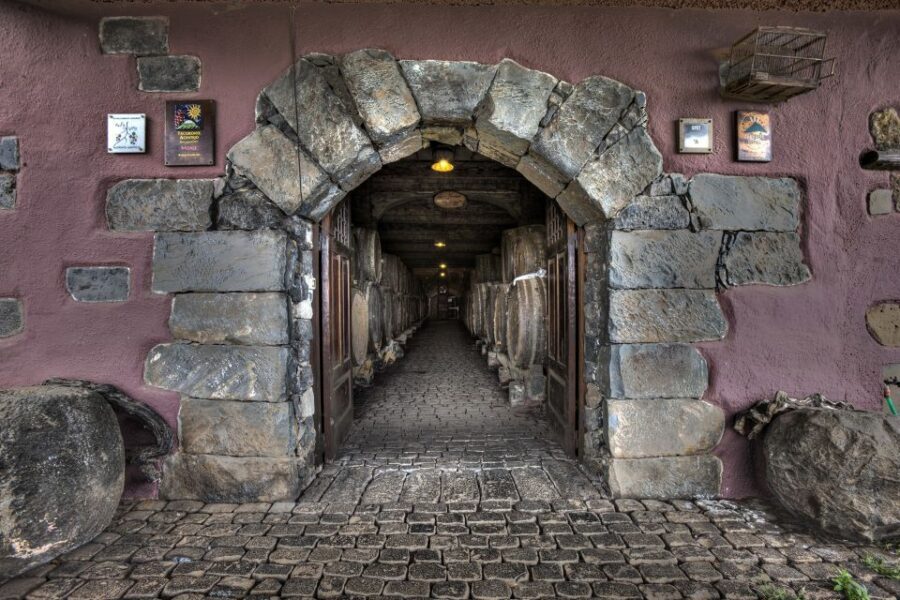 El Sauzal: Winery Tour and Mojo Sauce Workshop - Key things to know before you go