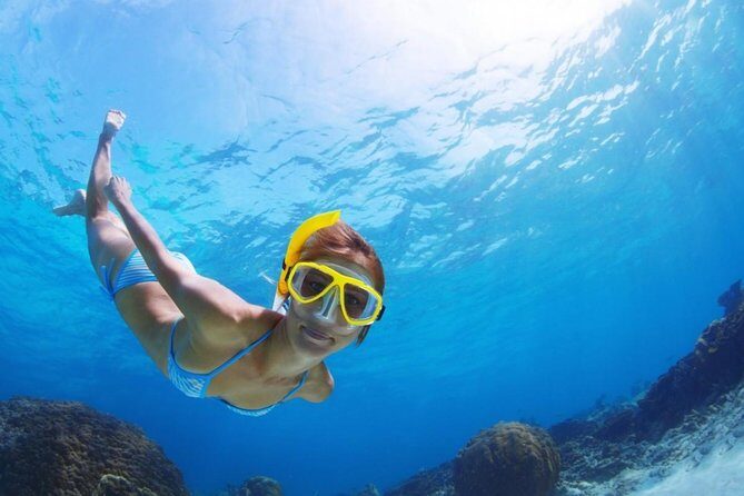 Exclusive Snorkeling Trip Guided by Marine Biology Specialist - Pricing and What You’re Actually Paying For