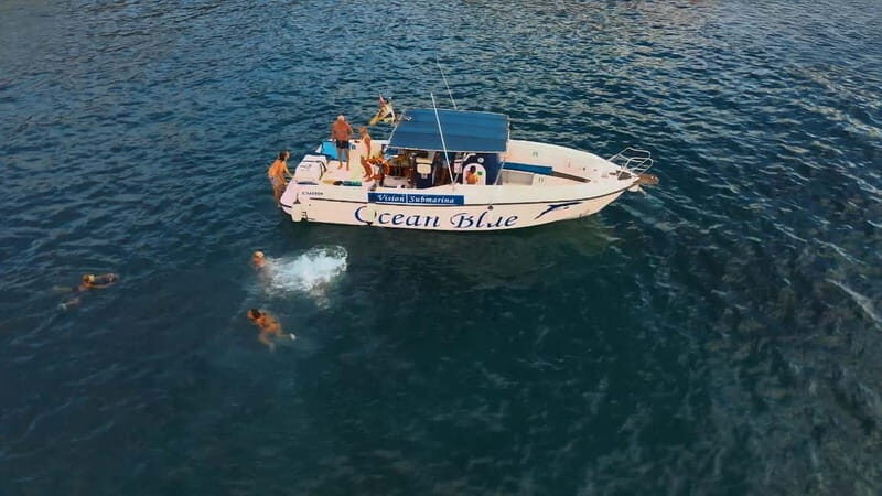 Excursion to see the whales - 3 Hours - Key things to know before you go